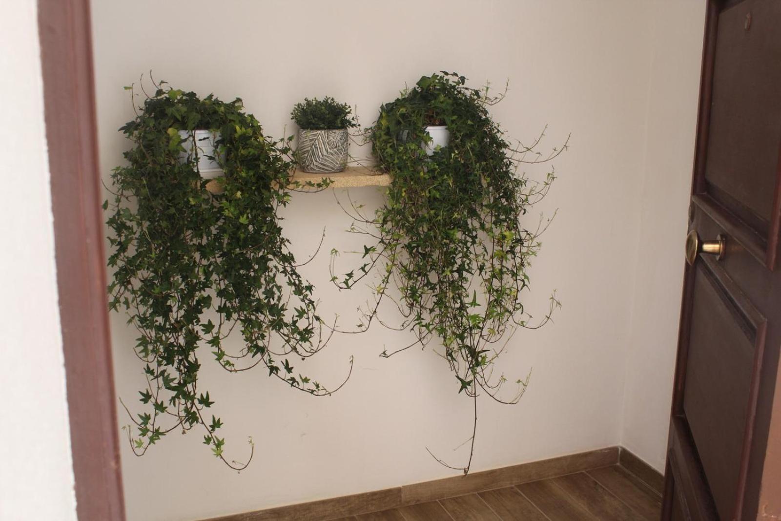 Apartmán Annale Marsala Exteriér fotografie